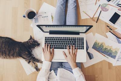 Frau sitzt mit Laptop auf dem Boden, um sie herum Papiere und Stifte, eine Katze schaut neugierig zu